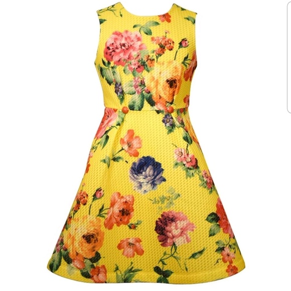 Bonnie Jean Other - Bonnie Jean Skater Dress